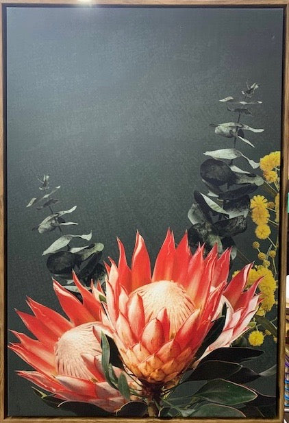 Framed Canvas Print - Native Protea