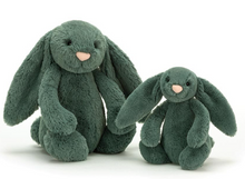 Load image into Gallery viewer, Jellycat Bunny - Bashful Forest
