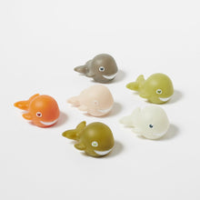 Load image into Gallery viewer, Sunnylife Bath Squirters - Whale