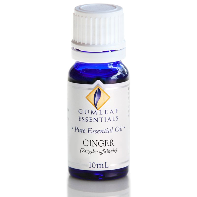 Pure Essential Oil GINGER