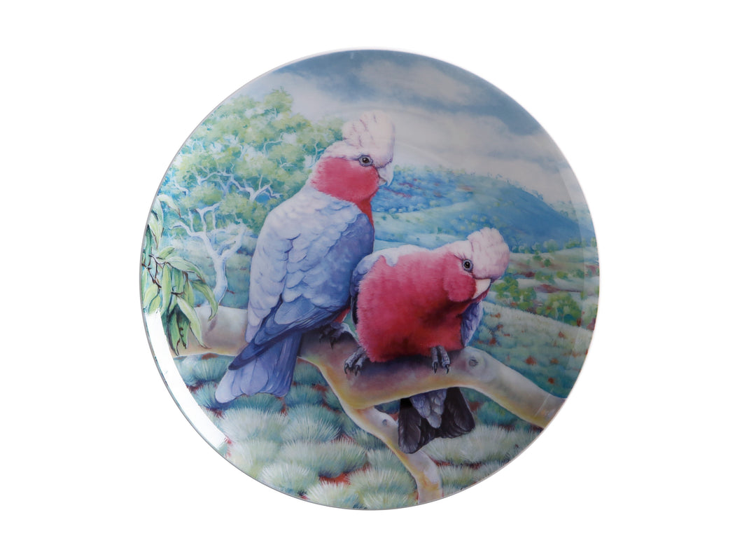 Birds of Australia 10 Year Anniversary Plate 20cm Galah Gift Boxed