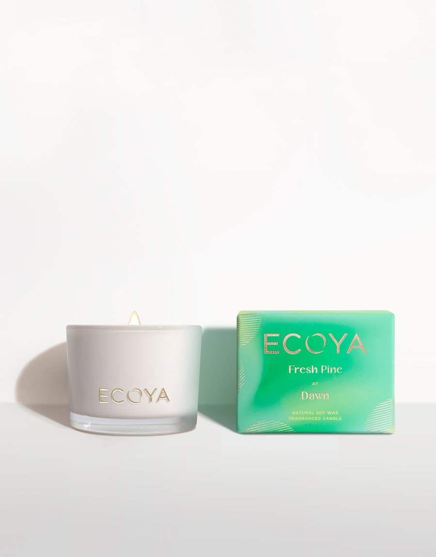 Ecoya Limited Edition Fresh Pine at Noon Monty Candle