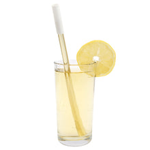 Load image into Gallery viewer, Sunnylife Reusable Metal &amp; Silicone Straws

