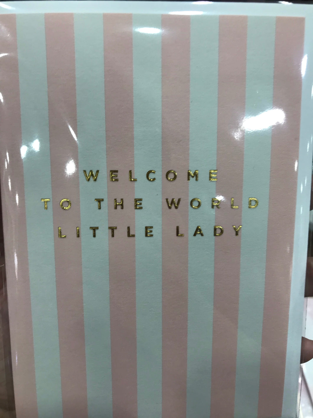 Welcome to the new world little lady card