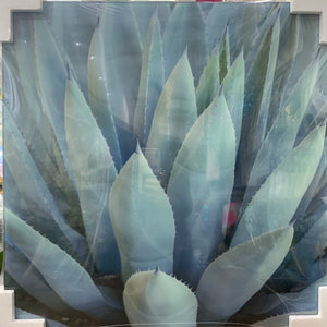 Glass Print - Succulent