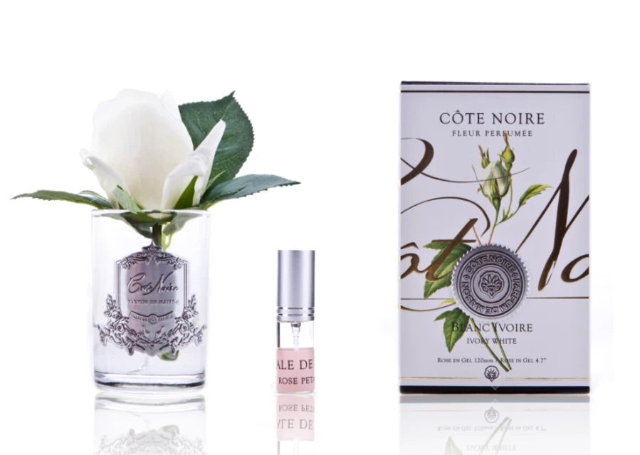 Côte Noire Ivory White Rose - Clear