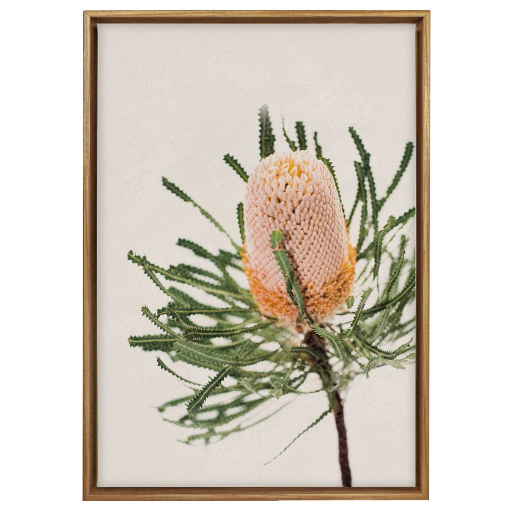 Framed Canvas Print - Native Banksia